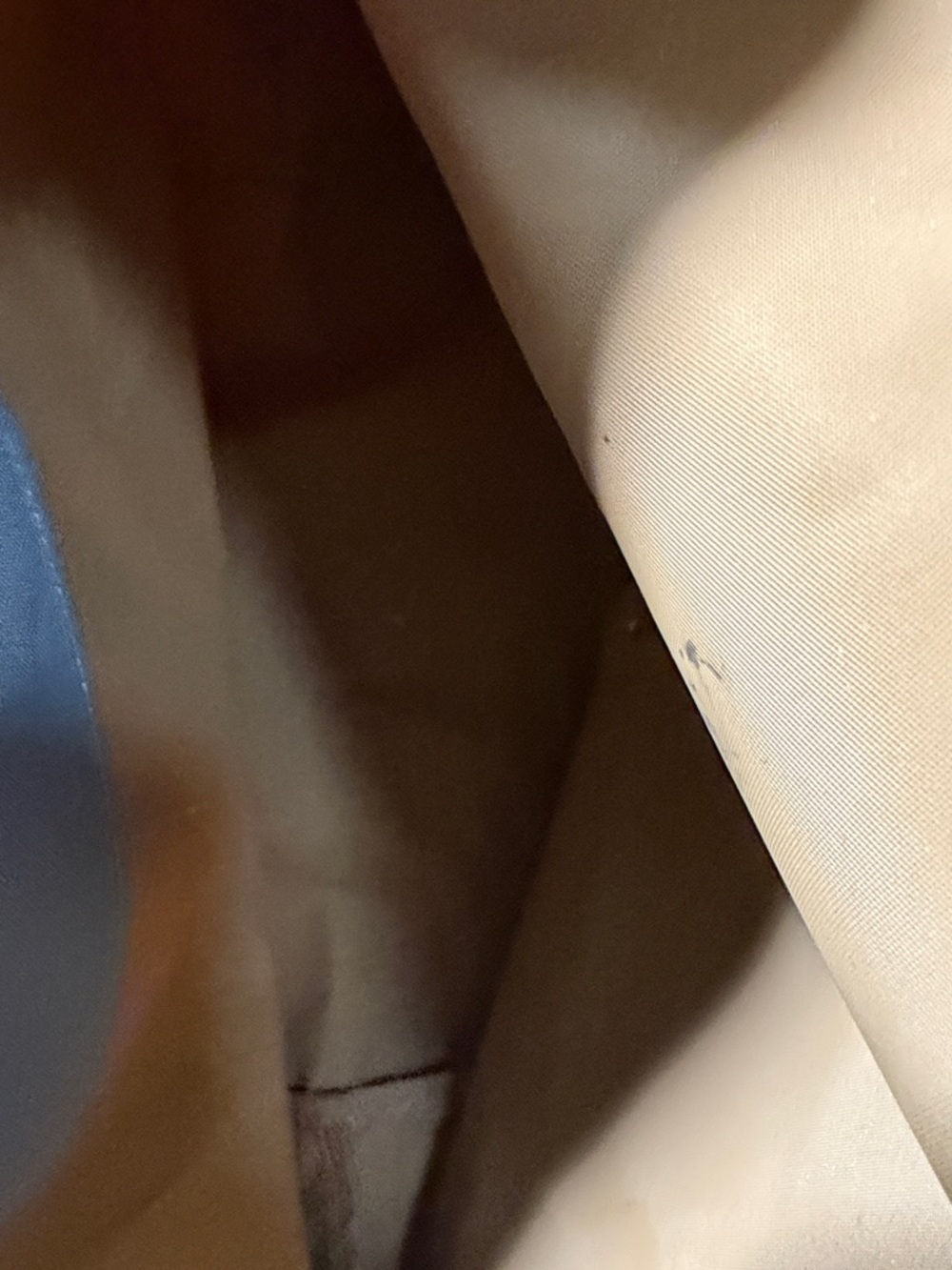 Longchamp Light Blue Tote with Brown Leather Trim - Picture 8 of 13